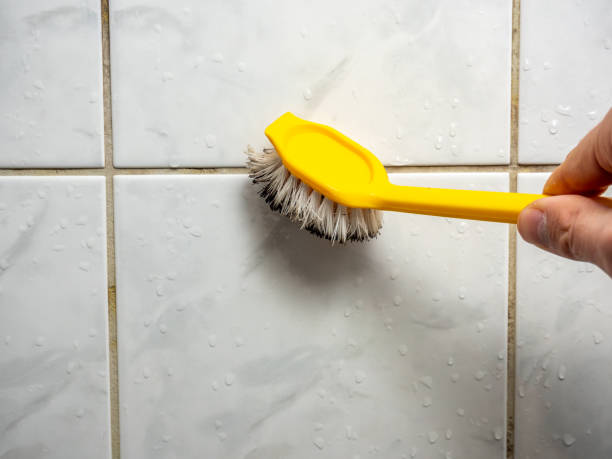 Best Emergency Mold Remediation in Columbia, MD