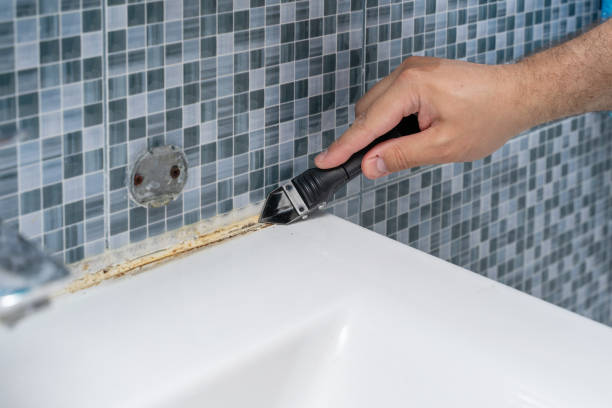 Best Bathroom Mold Remediation in Columbia, MD