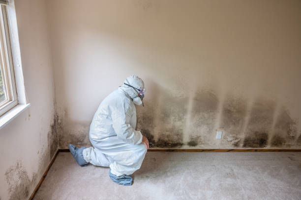 Best Residential Mold Remediation in Columbia, MD